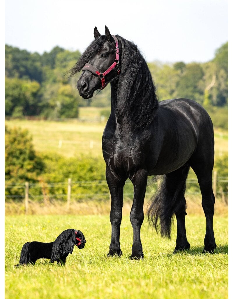 LeMieux Toy Pony Spike