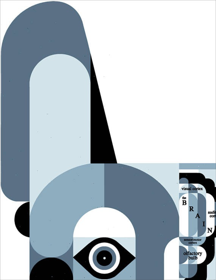 Raymond Biesinger Canine Anatomy