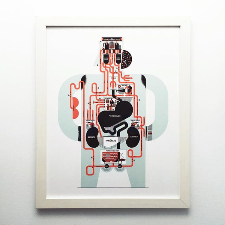 Raymond Biesinger Endocrine System Anatomy Chart