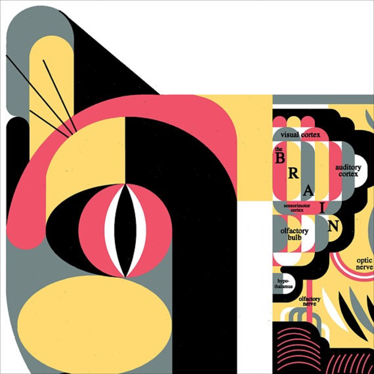 Raymond Biesinger Feline Anatomy