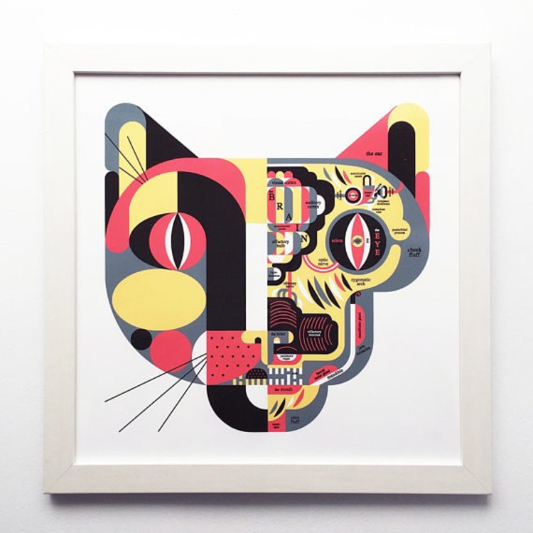 Raymond Biesinger Feline Anatomy