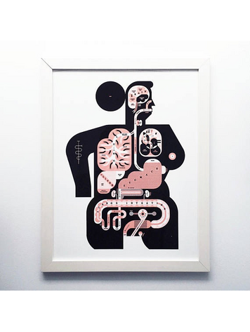 Raymond Biesinger Female Anatomy