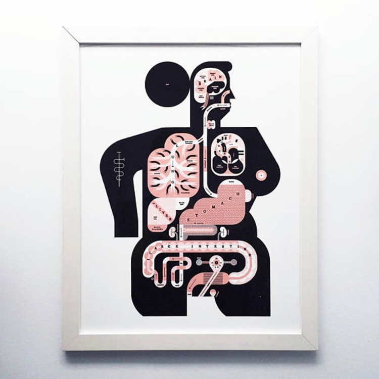 Raymond Biesinger Female Anatomy