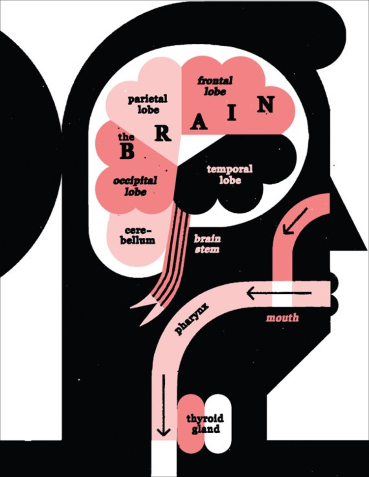 Raymond Biesinger Female Anatomy