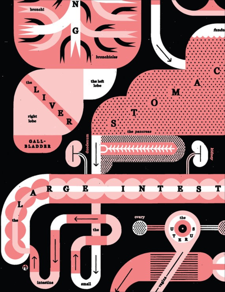 Raymond Biesinger Female Anatomy