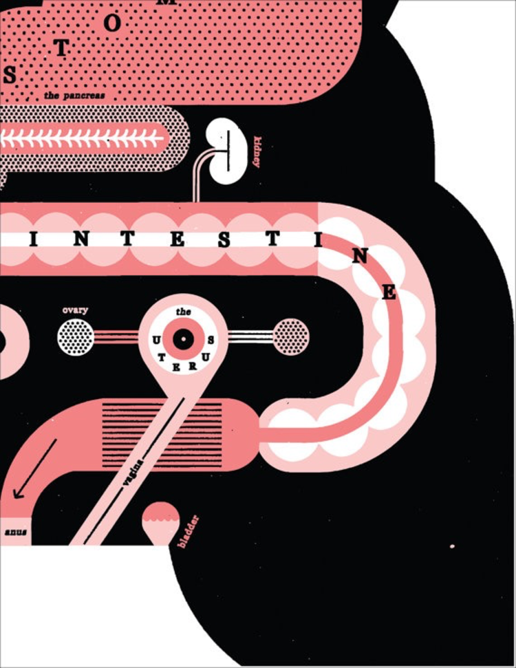 Raymond Biesinger Female Anatomy