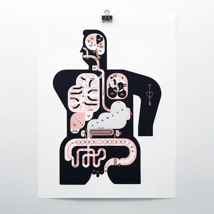 Raymond Biesinger Male Anatomy