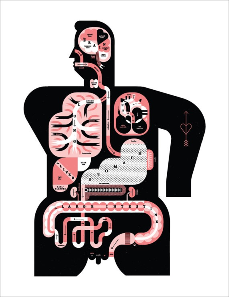 Raymond Biesinger Male Anatomy