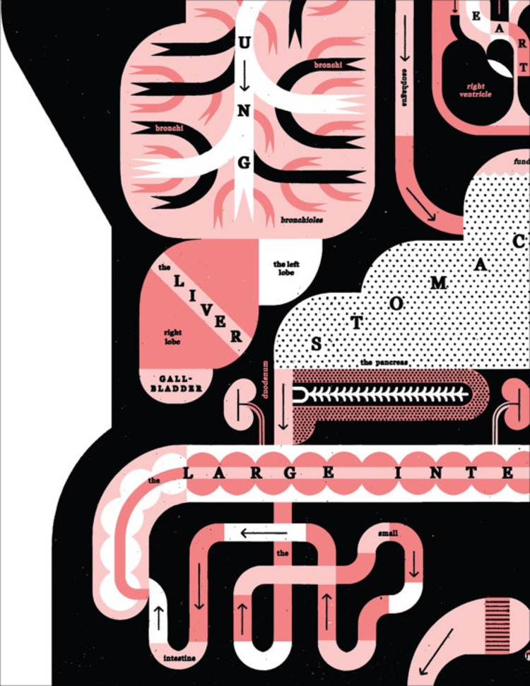 Raymond Biesinger Male Anatomy