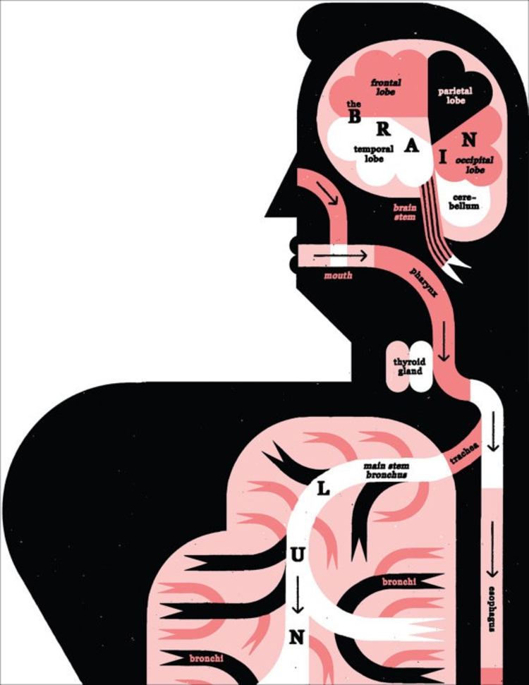 Raymond Biesinger Male Anatomy