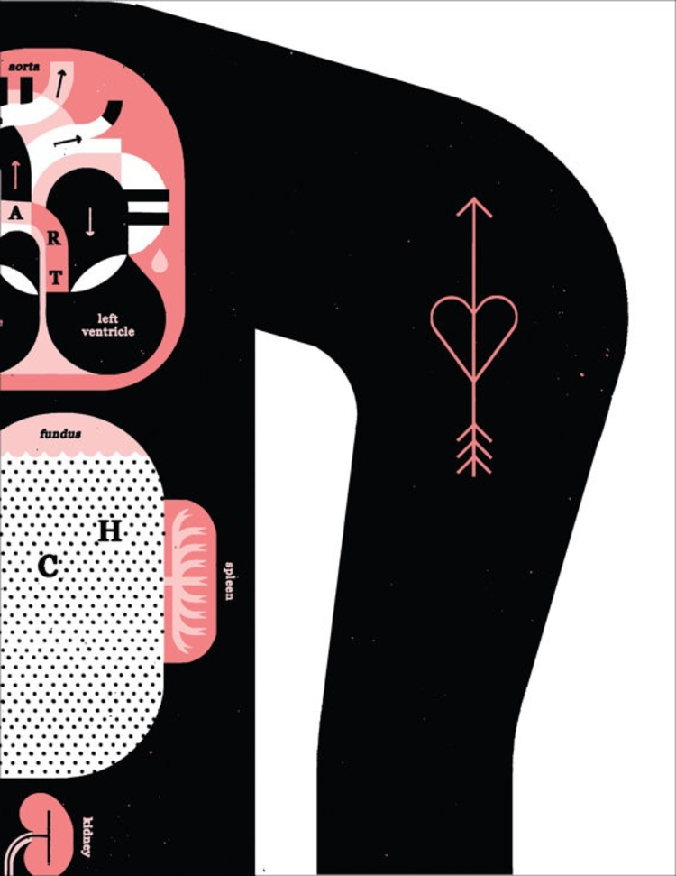 Raymond Biesinger Male Anatomy