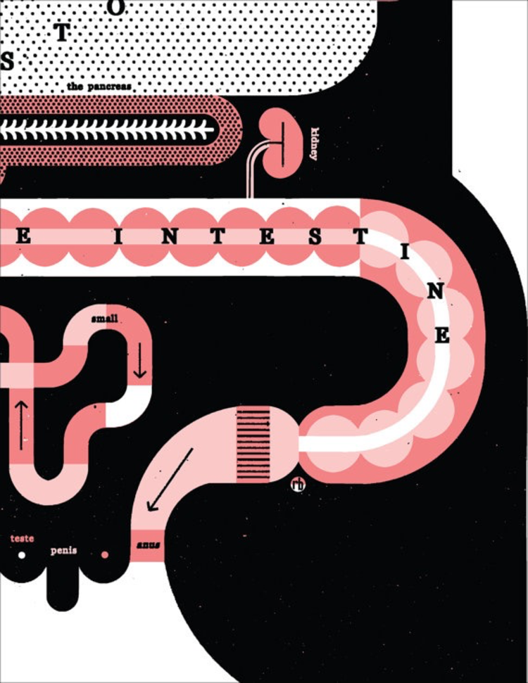 Raymond Biesinger Male Anatomy