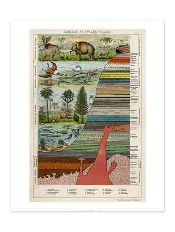 Bee Waeland Educational Series Paleontology