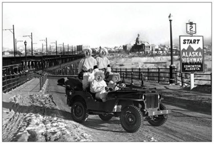Vivid Print Alaska Highway Postcard