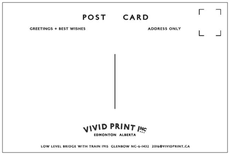 Vivid Print Low Level Bridge With Train 1915 Postcard