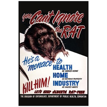Vivid Print You Can't Ignore the Rat Postcard Vivid Print You Can't Ignore the Rat Postcard