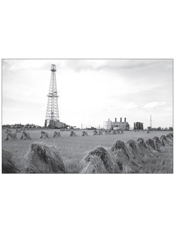 Vivid Print Leduc Harvest 1947 Postcard