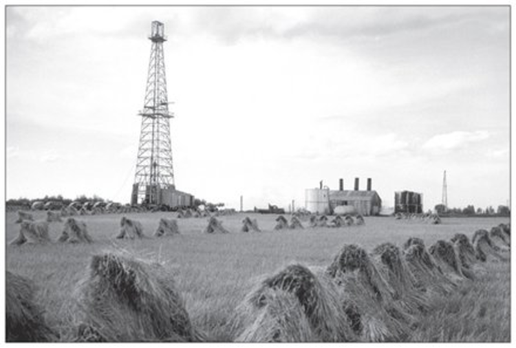 Vivid Print Leduc Harvest 1947 Postcard