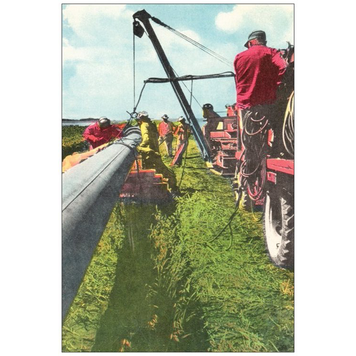 Vivid Print Laying Pipe Postcard