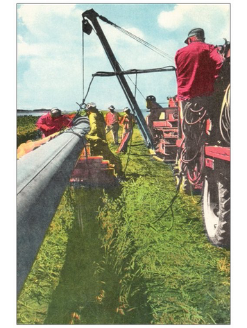 Vivid Print Laying Pipe Postcard