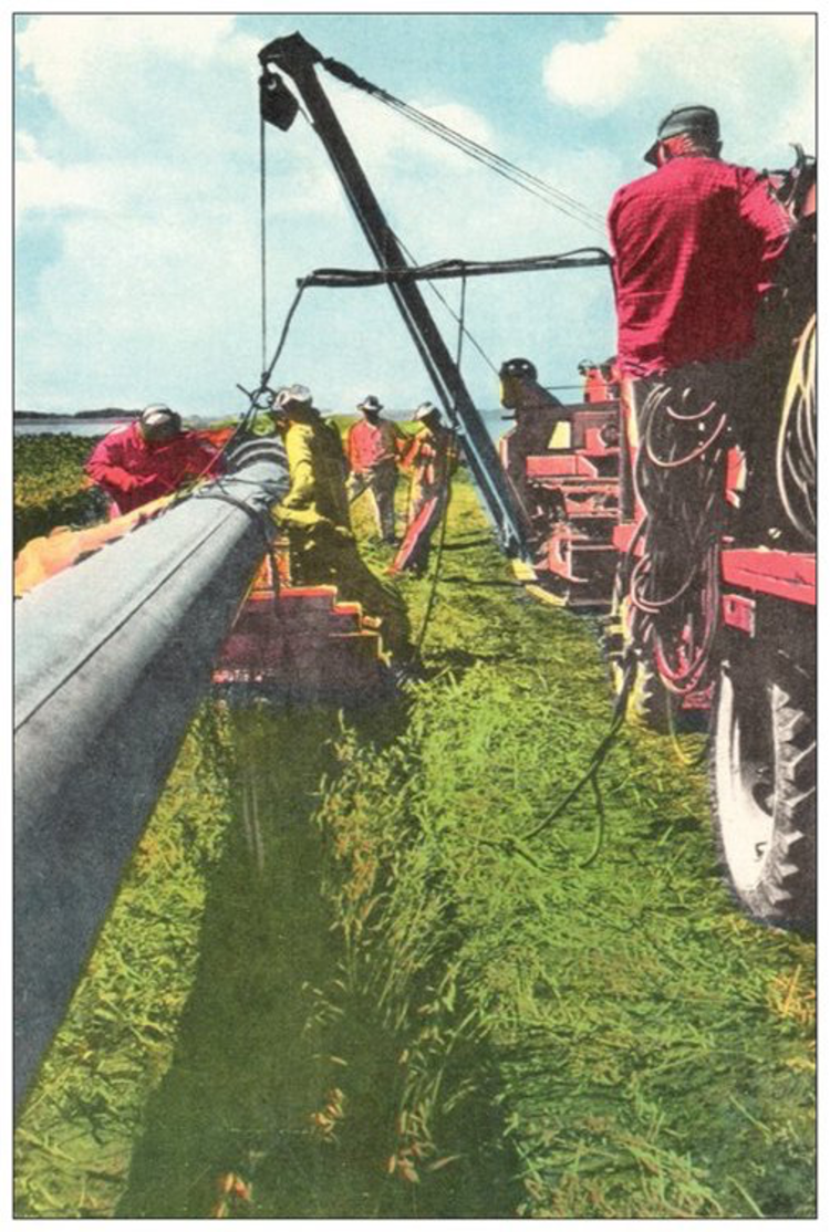 Vivid Print Laying Pipe Postcard