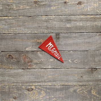Vivid Vintage Vintage Mt. Cavell Pennant Red