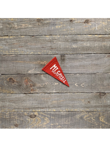 Vivid Vintage Vintage Mt. Cavell Pennant Red