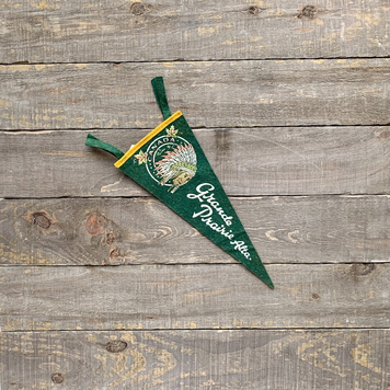 Vivid Vintage Vintage Grand Prairie Pennant Green