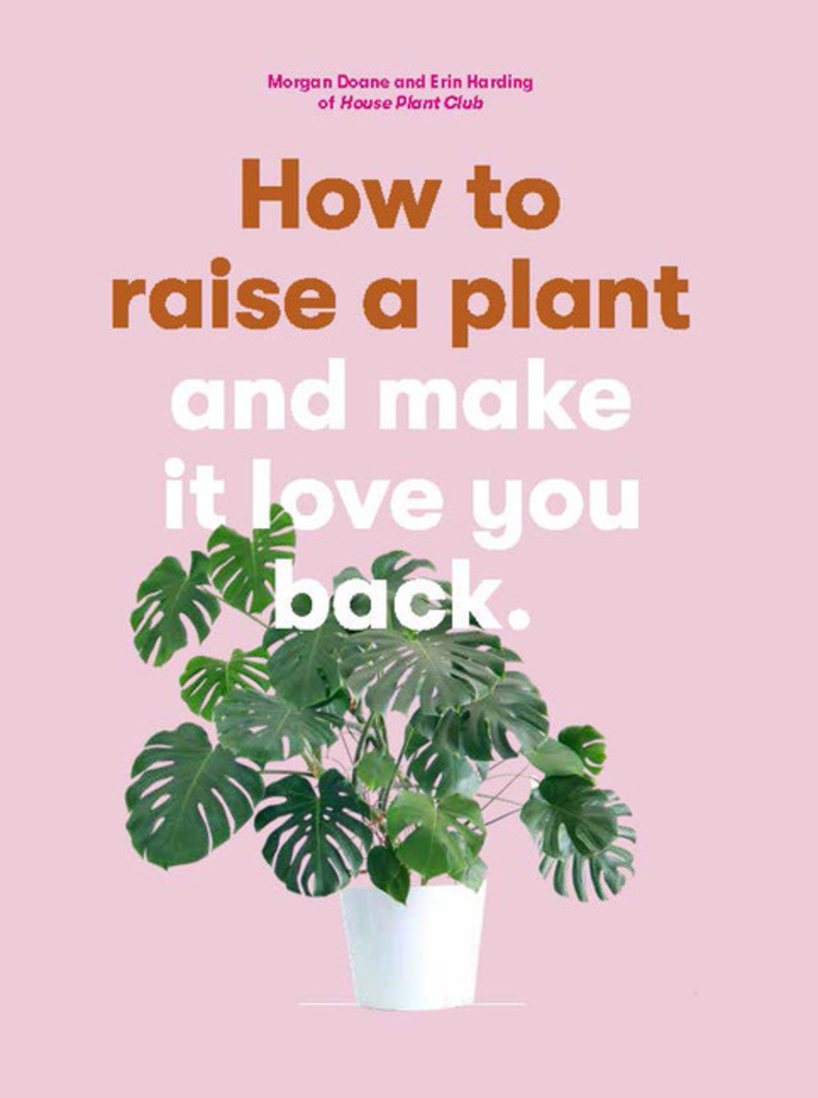 Laurence King Publishing How to Raise a Plant