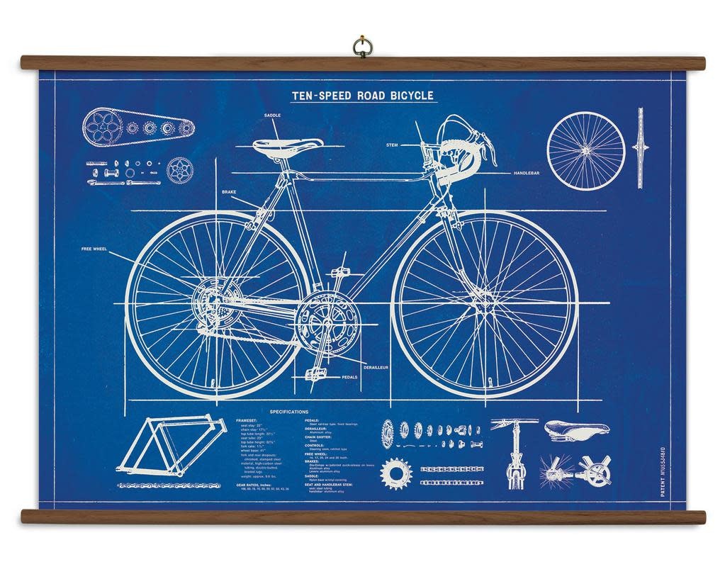cavallini-bicycle-blueprint-school-chart.jpg
