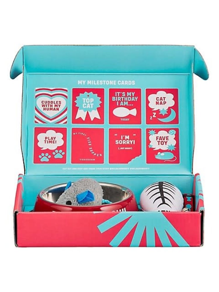 Wild & Wolf New Cat Starter Kit