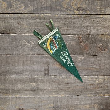 Vivid Vintage Vintage Banff Pennant Green