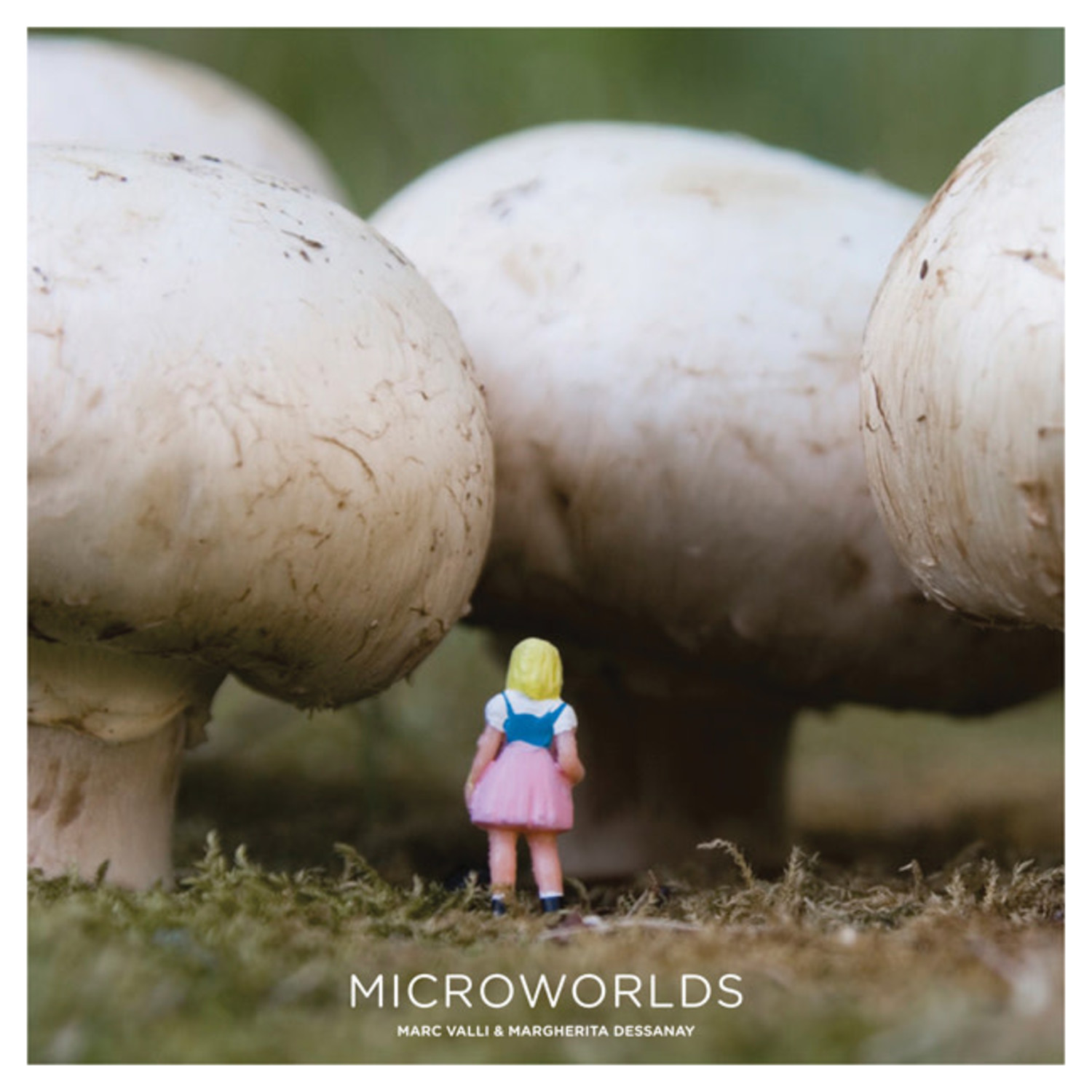 Laurence King Publishing Microworlds