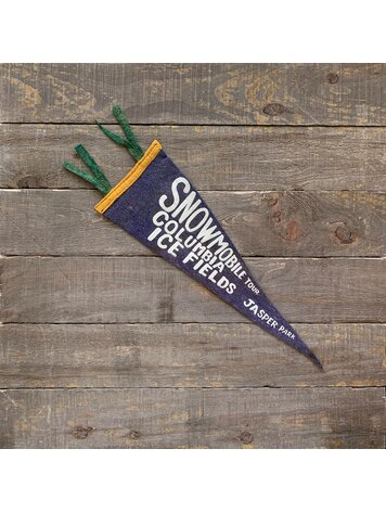 Vivid Vintage Vintage Columbia Icefield Pennant Blue