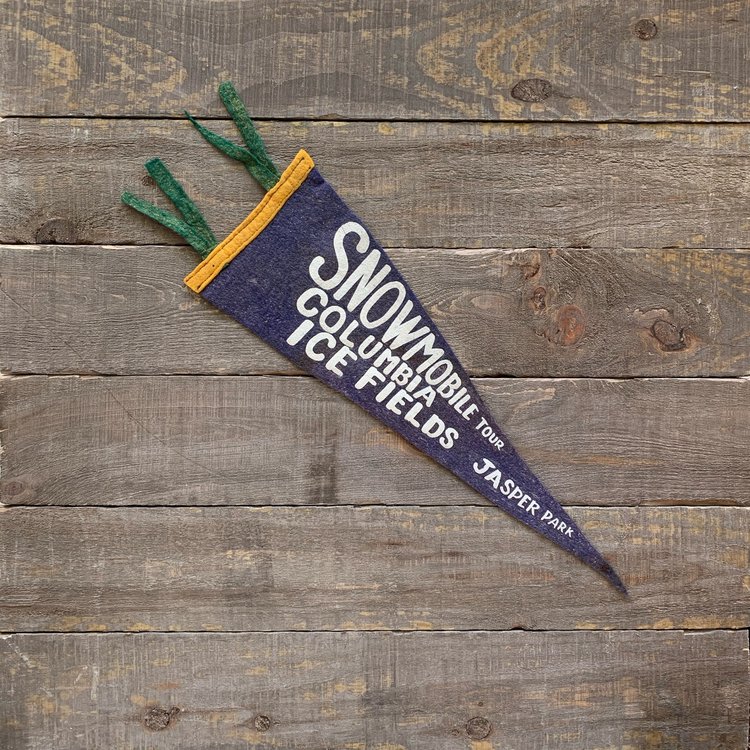 Vivid Vintage Vintage Columbia Icefield Pennant Blue