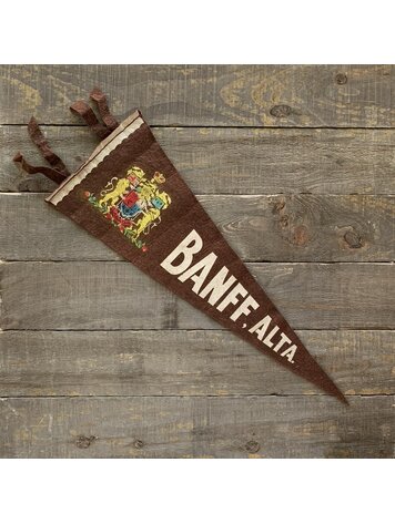 Vivid Vintage Vintage Banff Pennant Brown