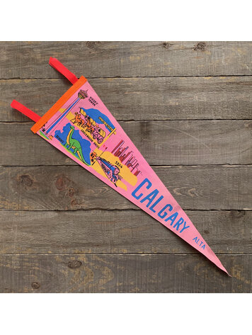 Vivid Vintage Vintage Calgary Pennant Pink