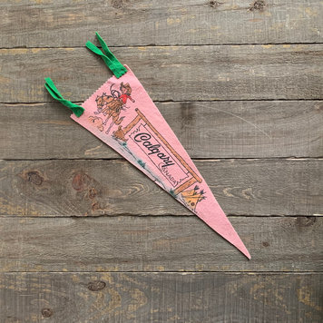 Vivid Vintage Vintage Calgary Pennant Pink