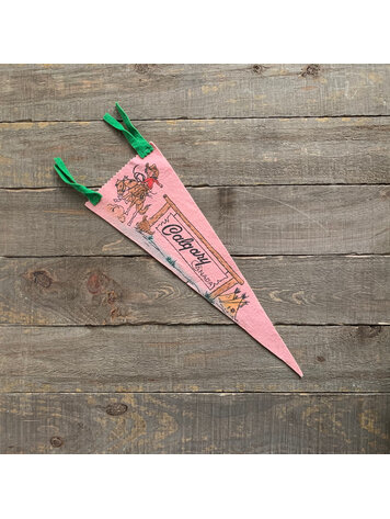 Vivid Vintage Vintage Calgary Pennant Pink
