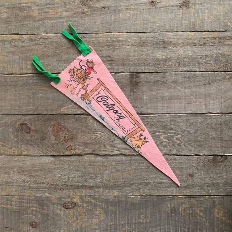 Vivid Vintage Vintage Calgary Pennant Pink