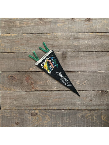 Vivid Vintage Vintage Calgary Pennant Black