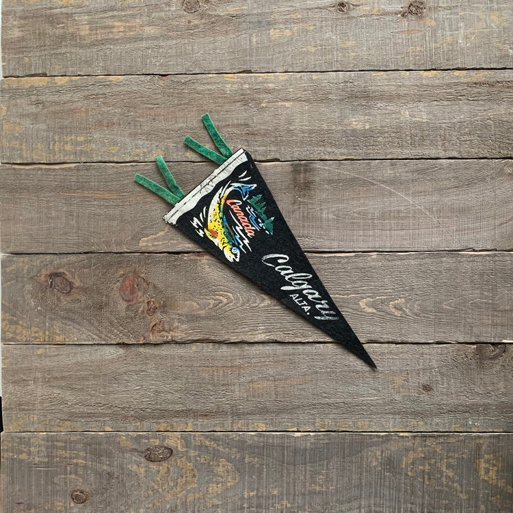 Vivid Vintage Vintage Calgary Pennant Black