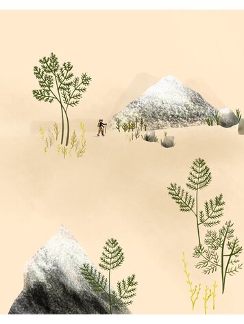 Homework Press Hike In Hike Out | Daria Hirny