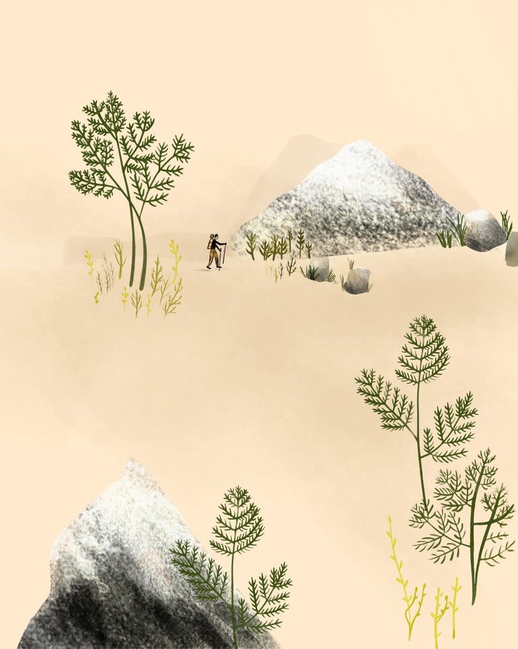 Homework Press Hike In Hike Out | Daria Hirny