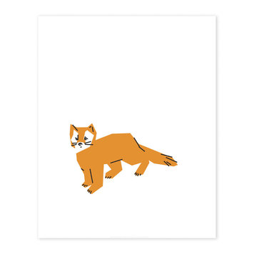 Bee Waeland Canadian Parks Pine Marten