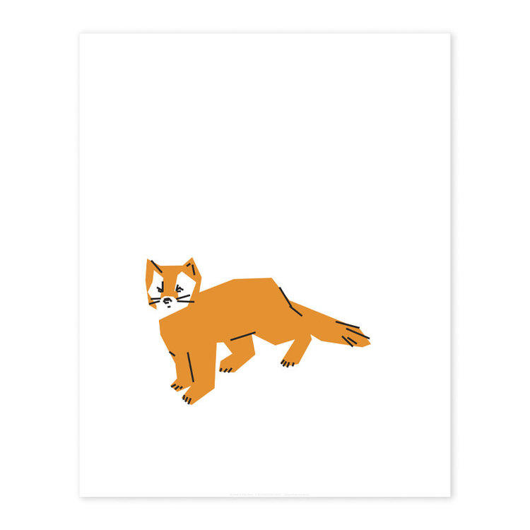 Bee Waeland Canadian Parks Pine Marten