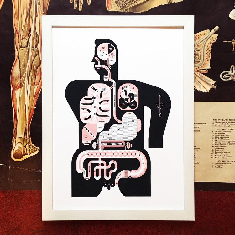 Raymond Biesinger Male Anatomy