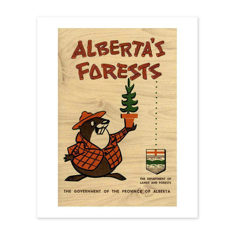 Vivid Archives Alberta's Forests Bertie Beaver