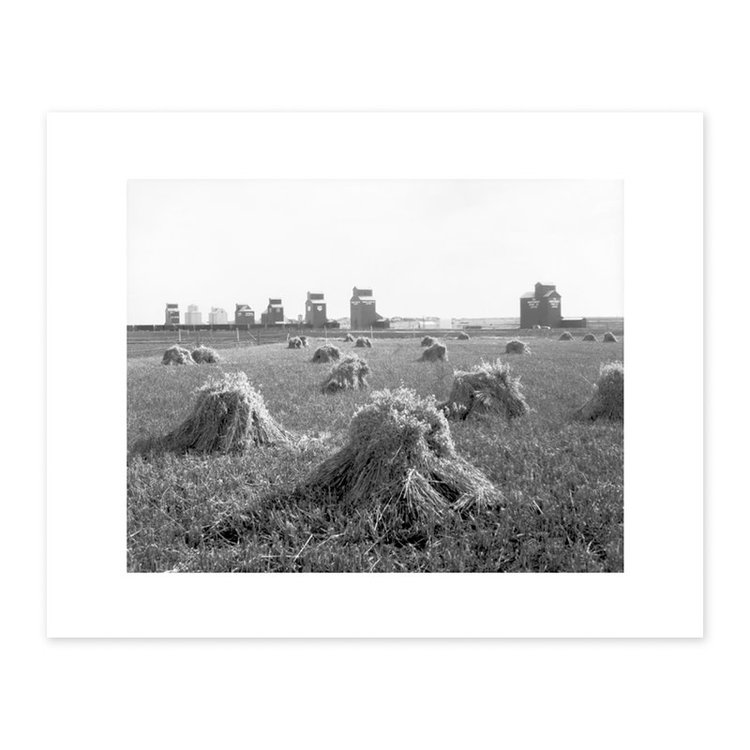 Vivid Archives Grain Elevators at Stavely 1920