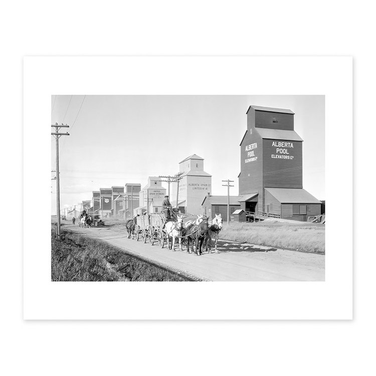 Vivid Archives Hauling grain to Vulcan 1928